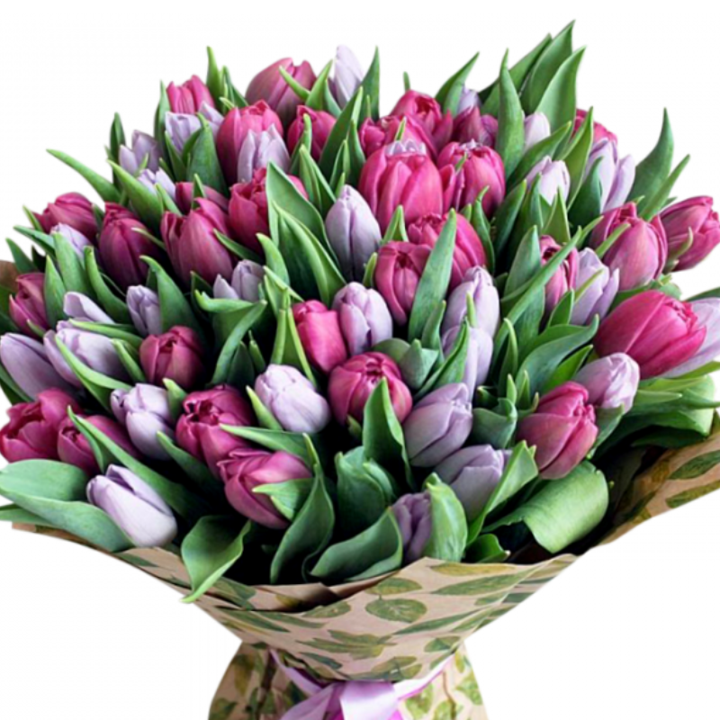 Букет из 51 сиреневого тюльпана разного оттенка.